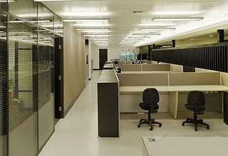 汕尾鲮鲫鱼罐头批发