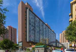 六安小型木片机