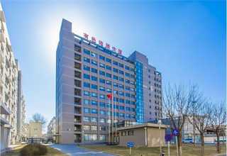 南京市公司办公室租花